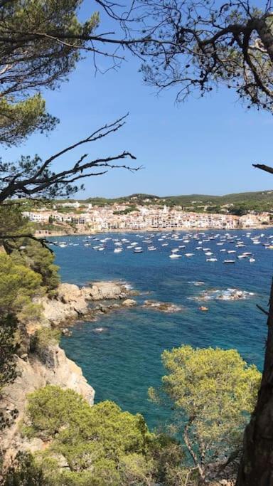The Golden Oak In Calella Centre - 100M From Beach Palafrugell Exterior foto